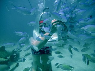 FUN, ADVENTUROUS, AND EDUCATIONAL ASIA BUCKET LIST - Cost, Travel Time, Where To Go