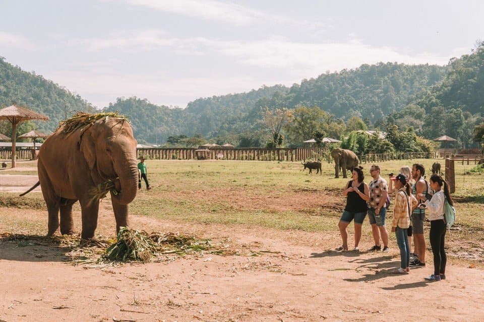 FUN, ADVENTUROUS, AND EDUCATIONAL ASIA BUCKET LIST - Cost, Travel Time, Where To Go